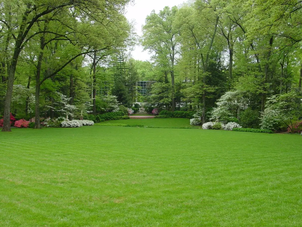 gallery2